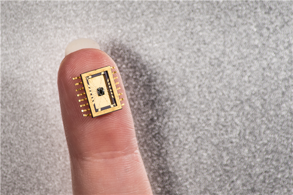 Microchip food safety sensors for agri-food