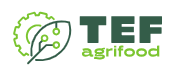 AGRIFOODTEF Logo